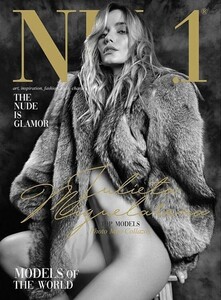 NI1-cover.jpg