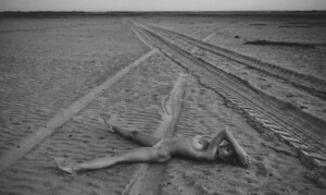 img029.jpg
