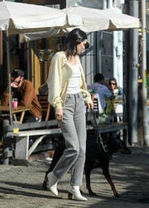 kendall-jenner-out-with-her-dog-in-los-angeles-12-16-2018-0.jpg