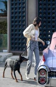 kendall-jenner-out-with-her-dog-in-los-angeles-12-16-2018-1.jpg