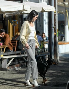 kendall-jenner-out-with-her-dog-in-los-angeles-12-16-2018-10.jpg