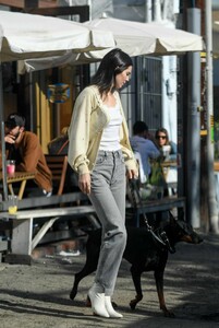 kendall-jenner-out-with-her-dog-in-los-angeles-12-16-2018-11.jpg