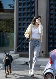 kendall-jenner-out-with-her-dog-in-los-angeles-12-16-2018-3.jpg