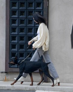 kendall-jenner-out-with-her-dog-in-los-angeles-12-16-2018-4.jpg