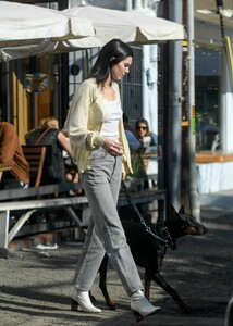 kendall-jenner-out-with-her-dog-in-los-angeles-12-16-2018-9.jpg