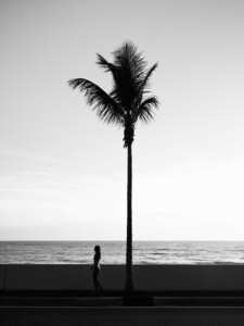 CF003214.thumb.jpg.0f550f4ecbbd5d817cf8f81f1c66d9fe.jpg