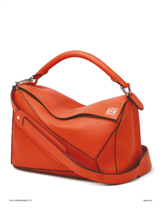 Meisel_Loewe_Spring_Summer_2015_02.thumb.png.5a7a469abca18cb71f79cfe01c6eefa6.png