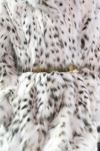 vauthier-hc-clp-rs19-0805.thumb.jpg.0bdf2099830062b141f9b674b4dae443.jpg