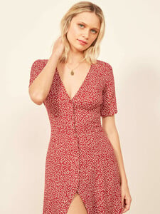 locklin-dress dakota 4.jpg