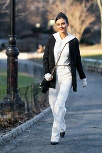         jus130219BZNimage2.jpg