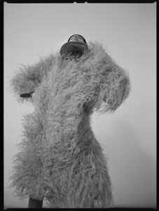1081554-800w.thumb.jpg.b8087fda6ee6e51068a155c38953cbdc.jpg