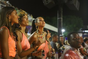        rio040319BZNimage6.jpg