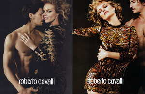 2017-w-R-Cavalli-2a.jpg