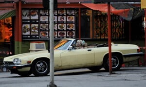         rob280319BZNimage116.jpg