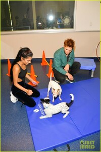 kj-apa-aspca-volunteer-with-bumble-winner-05.jpg