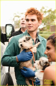 kj-apa-aspca-volunteer-with-bumble-winner-07.jpg