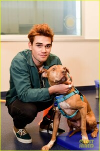 kj-apa-aspca-volunteer-with-bumble-winner-09.jpg