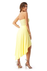 saroze_ar402-rx_sun_back.jpg