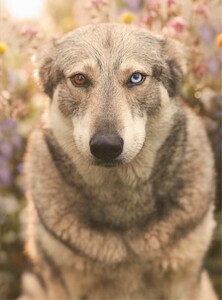         tur030419BZNimage120.jpg