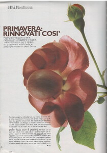 Scan10302.JPG