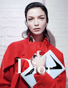 Vanderperre_Dior_Fall_Winter_13_14_02.thumb.png.bffa3af2e8ce213bd19c9b31217c4271.png