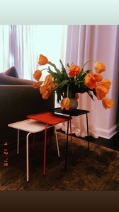 behatiprinsloo_12042019192751.jpg