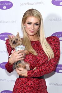 Paris+Hilton+Animal+Haven+Gala+2019+Arrivals+wFrq2XzGEcYx.jpg