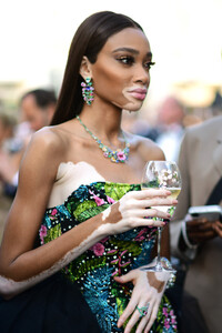 amfAR+Cannes+Gala+2019+Cocktail+7e43yD3sQ7Zx.jpg