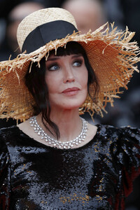 Isabelle+Adjani+Le+Belle+Epoque+Red+Carpet+08q0UOSRsgWx.jpg