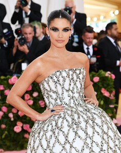 [1147412264] The 2019 Met Gala Celebrating Camp - Notes on Fashion - Arrivals.jpg