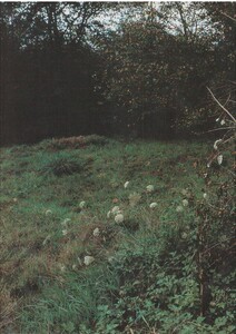 Scan10005.JPG