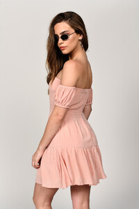 blush-ally-off-shoulder-skater-dress_002.jpg