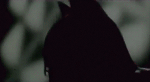 giphy.thumb.gif.a5868a1d081205f484006365bcd8c59c.gif