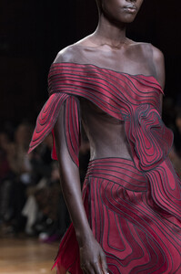 van-herpen-hc-clp-rs19-3661.thumb.jpg.16f5c7fddfebe5e0de0bf85446991d5a.jpg
