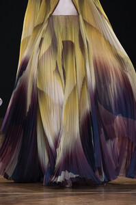 van-herpen-hc-clp-rs19-3920.thumb.jpg.8543e20e4229c4349f4425e8b4f8d0a8.jpg