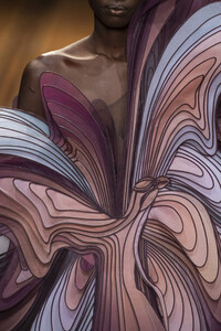 van-herpen-hc-clpi-rs19-0485.thumb.jpg.20e8afae81a7d392260bcea9f8488138.jpg