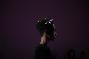 1268927543_LanyuBackstageFebruary2019NewYorkFashionKcwVuoS25tkx.thumb.jpg.bb88110ea12ddc900f375ad1264ae861.jpg