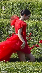 14410958-7108501-Delicate_The_front_of_the_gown_featured_a_short_tulle_adornment_-a-13_1559757319541.jpg