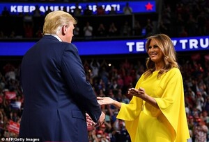 14966236-7156509-image-a-32_1560906096926.jpg