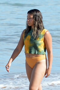        gin180619BZNimage5.jpg