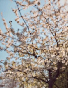 ker270619BZNimage7.jpg