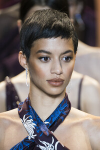 cushnie-clpi-rf19-0451.thumb.jpg.17d471edb8d8b67ec231ff5975275ea2.jpg