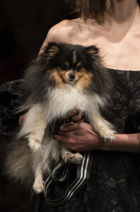 lela-rose-clp-rf19-0826.thumb.jpg.6779c0981fbb2bf14c54404cbf76aa2c.jpg