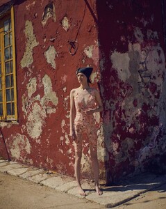 1155737-800w.thumb.jpg.dbb64cefadf23ee36bb1db1f5a6c7901.jpg