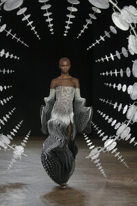 1731859361_IrisVanHerpenRunwayParisFashionWeekVcl7P9jZKGtx.thumb.jpg.5e3f67b468d0644f72c9dc70f75a435f.jpg