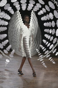 200210959_IrisVanHerpenRunwayParisFashionWeekOk2m6GU3ijUx.thumb.jpg.9e9b73afc8a1eca97c3aa7eba5ae43ed.jpg