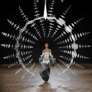 962636503_IrisVanHerpenRunwayParisFashionWeekOo36Qb5xqfdx.thumb.jpg.b7c454e5b35501988c88997377a896f9.jpg