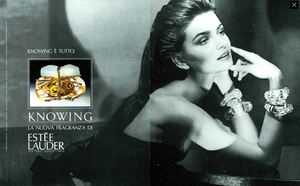 Skrebneski_Estee_Lauder_Knowing_1990.thumb.png.76f857c4dba0042e355773104717e5b0.png