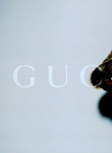 Testino_Gucci_Fall_Winter_03_04_01.thumb.png.7fdca7c33bd09861d8fb54e50abed862.png