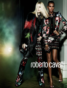 Testino_Roberto_Cavalli_Fall_Winter_13_14.thumb.png.401f8af062a2ed48c01365c80f9537e4.png